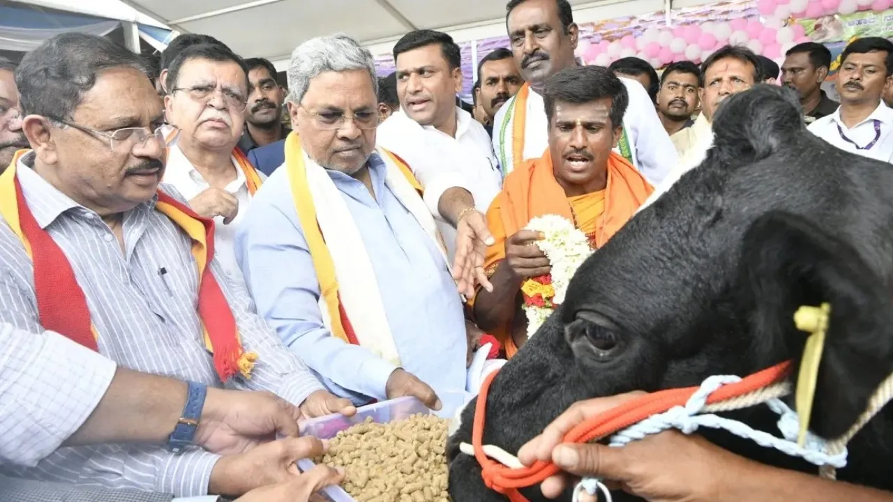 GAU POOJE