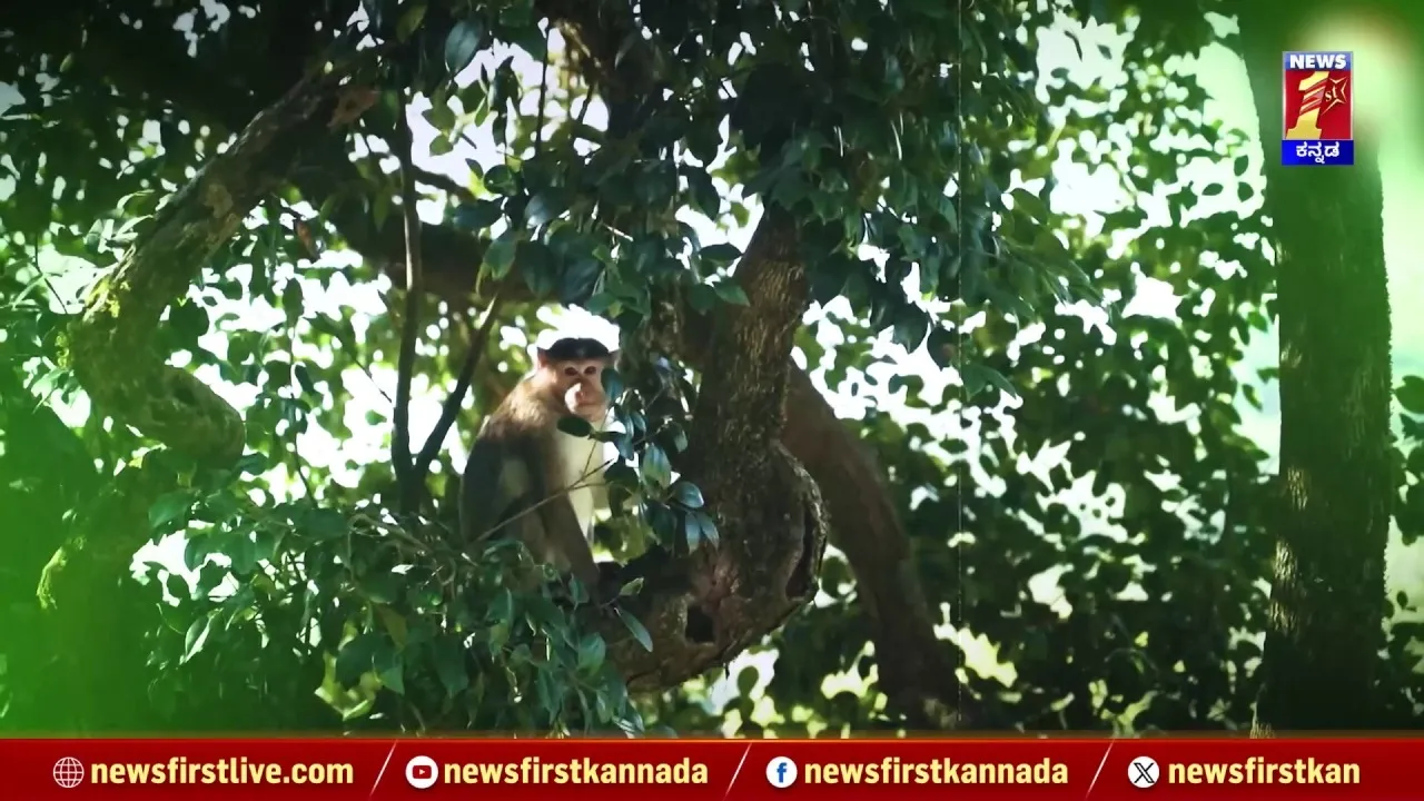 sharavati pump storage project (2)