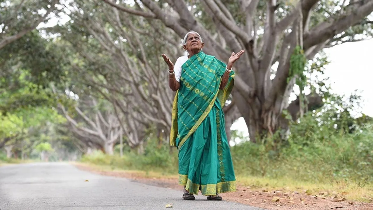 salumarda timmakka (2)