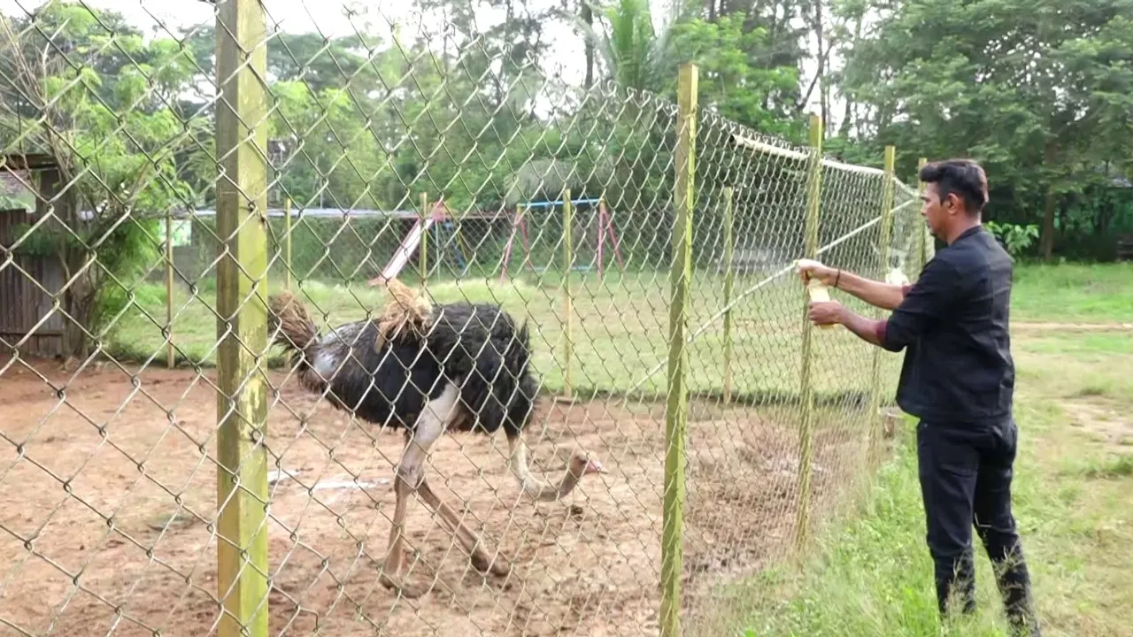 amazing pet planet sirsi