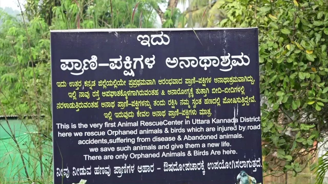 amazing pet planet sirsi (6)