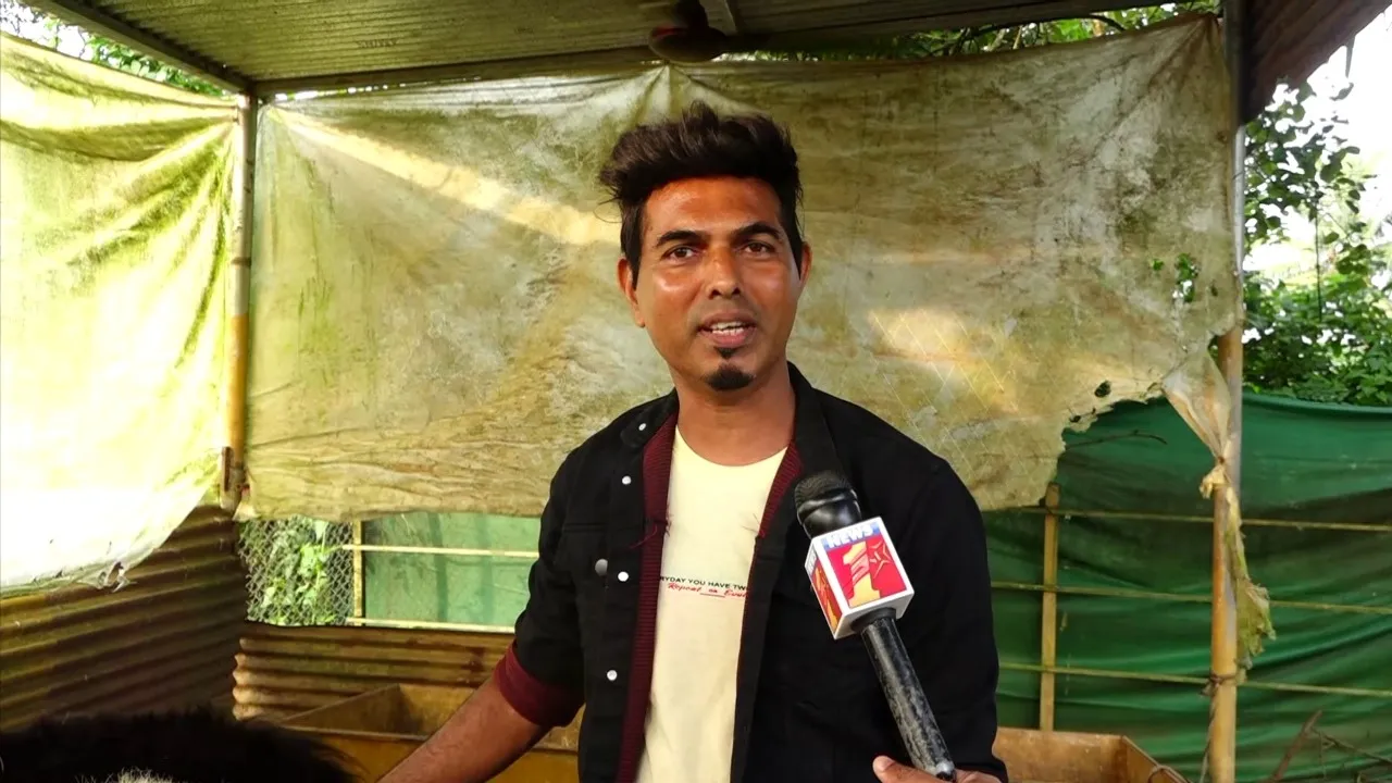 amazing pet planet sirsi (7)