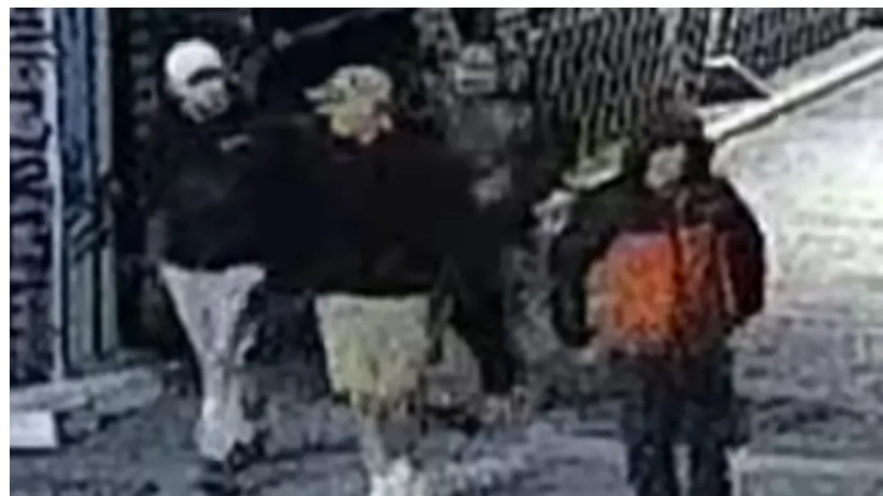 ENGLAND MUSEUM STOLEN (2)