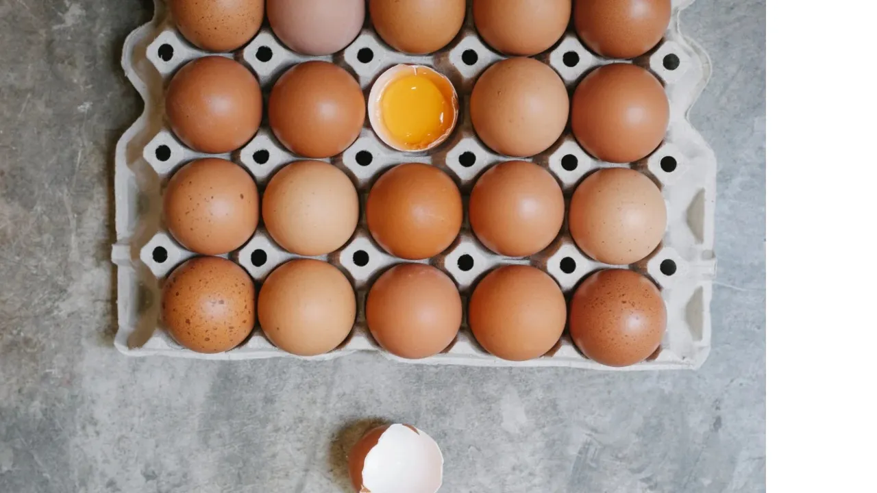 EGG SAMPLES TESTING BY FSSAI