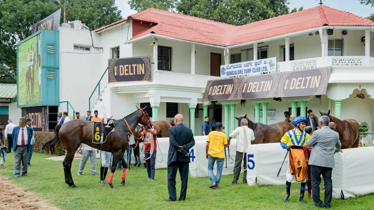 BANGALORE TURF CLUB HORSES (3)