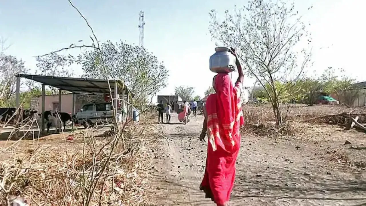 Mahrastra birth fraud (1)