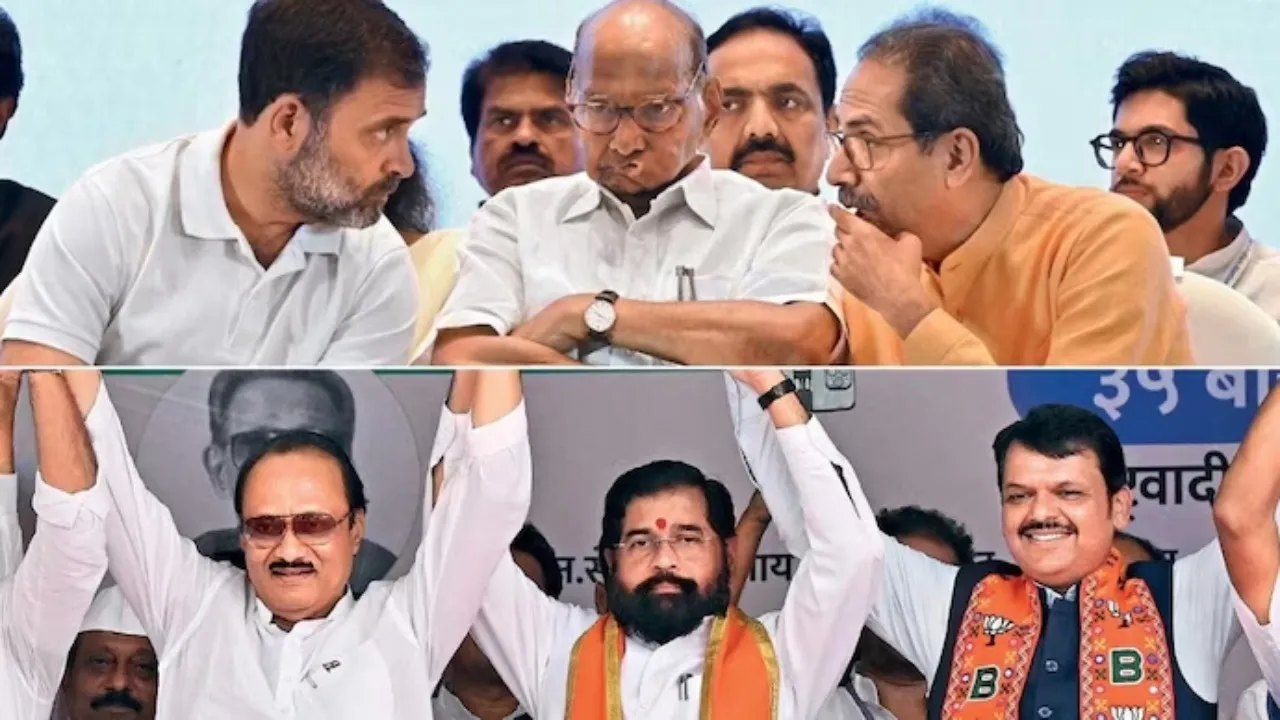 Mahayuti won 66 seats unoppossed (1)