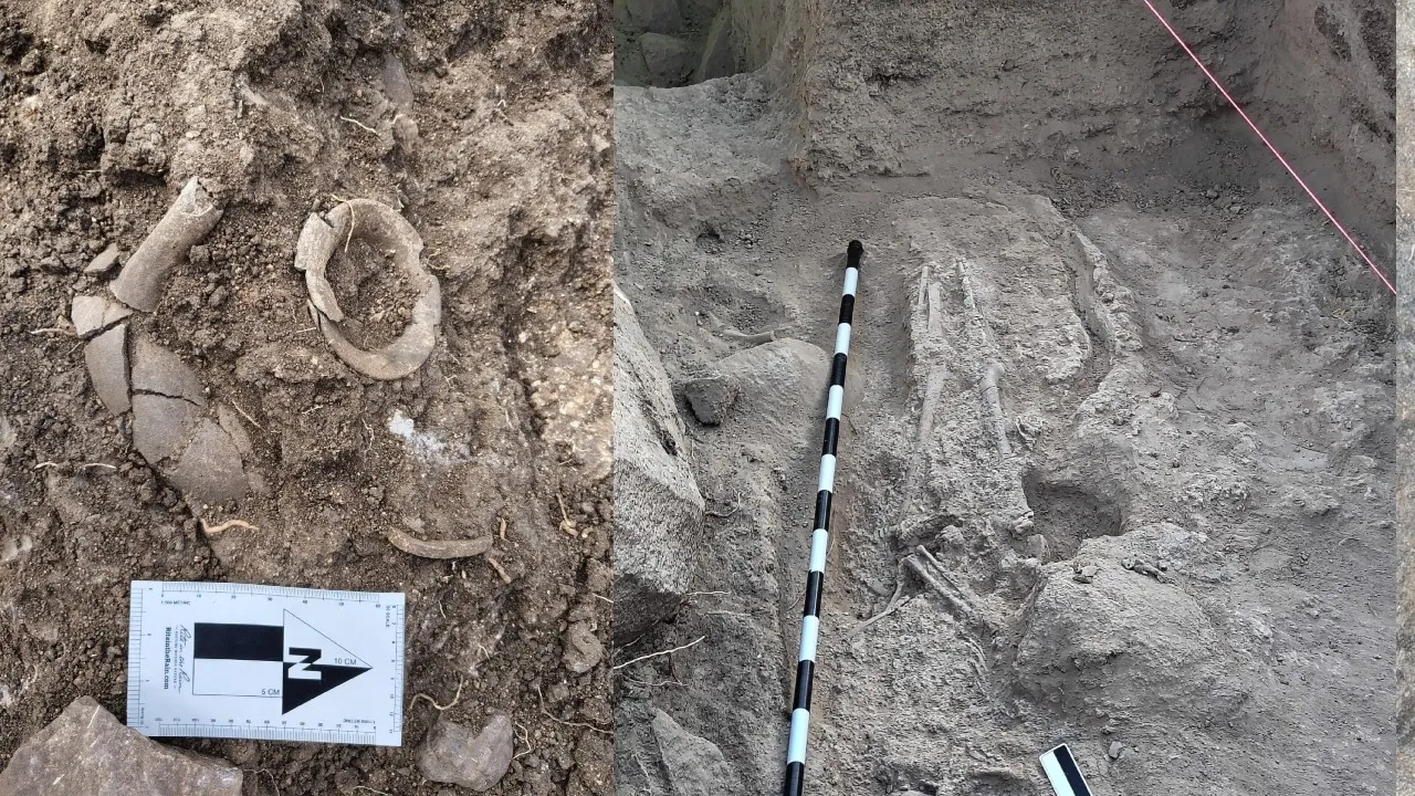 Human Skeleton Found (1)