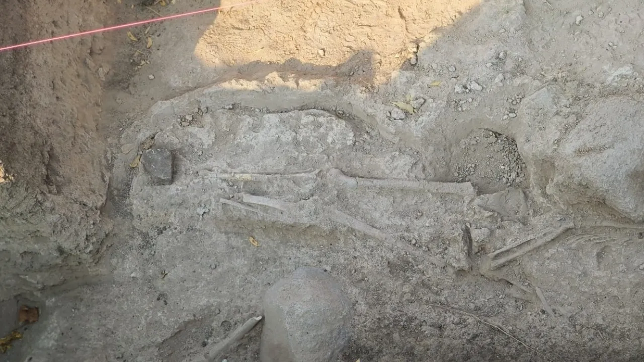 Human Skeleton Found (3)