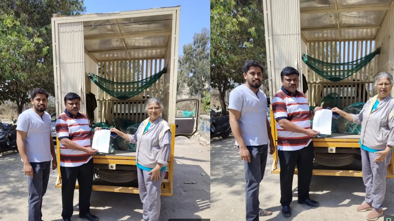 Street Dog Adoption,