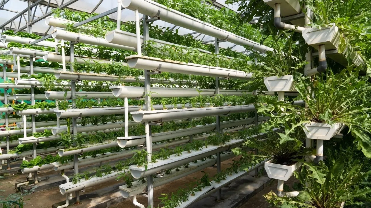 AI INVESTOR VIVEK RAJ (1)