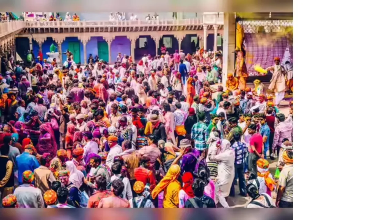 karnataka holi celebrations