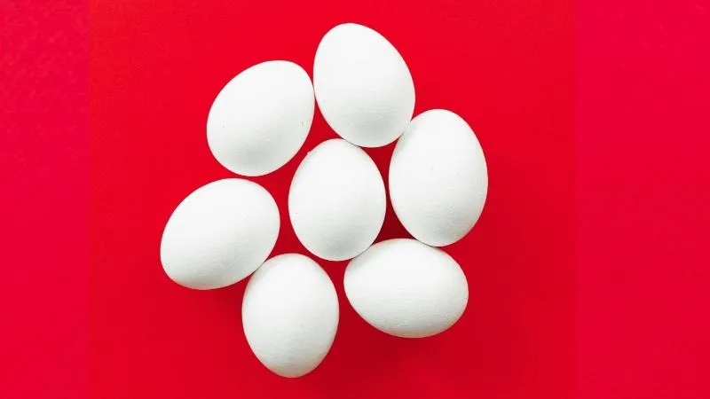 ನಿಮಗಿದು ಗೊತ್ತೇ.. ಮೊಟ್ಟೆ ತಿನ್ನುವುದರಿಂದ ದೇಹಕ್ಕೆ ಇಷ್ಟೆಲ್ಲ ಪ್ರಯೋಜನ ಸಿಗುತ್ತಾ..?