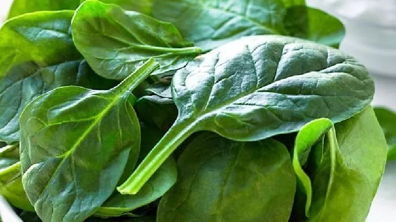 ಸಾವಯವ ಉತ್ಪನ್ನ ಹೆಸರಲ್ಲಿ ಮೋಸ..ಮೋಸ.. Organic ಎನ್ನುವ ಪ್ರಾಡಕ್ಟ್‌ಗಳು ಅಸಲಿನಾ, ನಕಲಿನಾ?