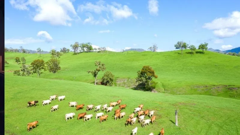 ವಿಶ್ವದ ಶೇ. 16ರಷ್ಟು ಆಸ್ತಿ ಹೊಂದಿರೋ ಕುಟುಂಬ; ಅರಬ್​​ ರಾಜನ ಆಸ್ತಿಯನ್ನೇ ಮೀರಿಸುತ್ತೆ ಇವ್ರ ಸಂಪತ್ತು