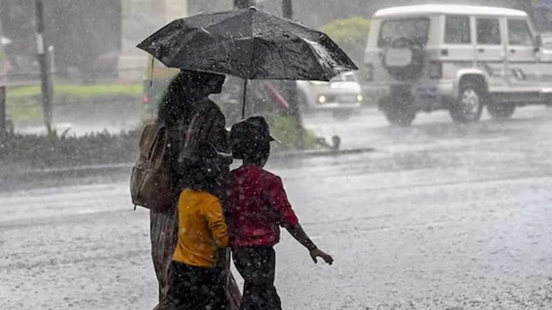 Karnataka Rain: ಮಲೆನಾಡು, ಕರಾವಳಿ ಭಾಗದಲ್ಲಿ ಭಾರೀ ಮಳೆ.. ಶಾಲಾ-ಕಾಲೇಜುಗಳಿಗೆ ರಜೆ..!