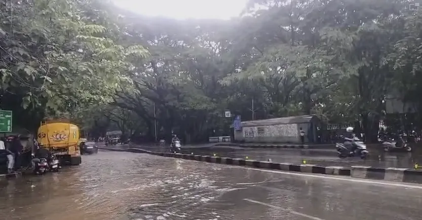water logging