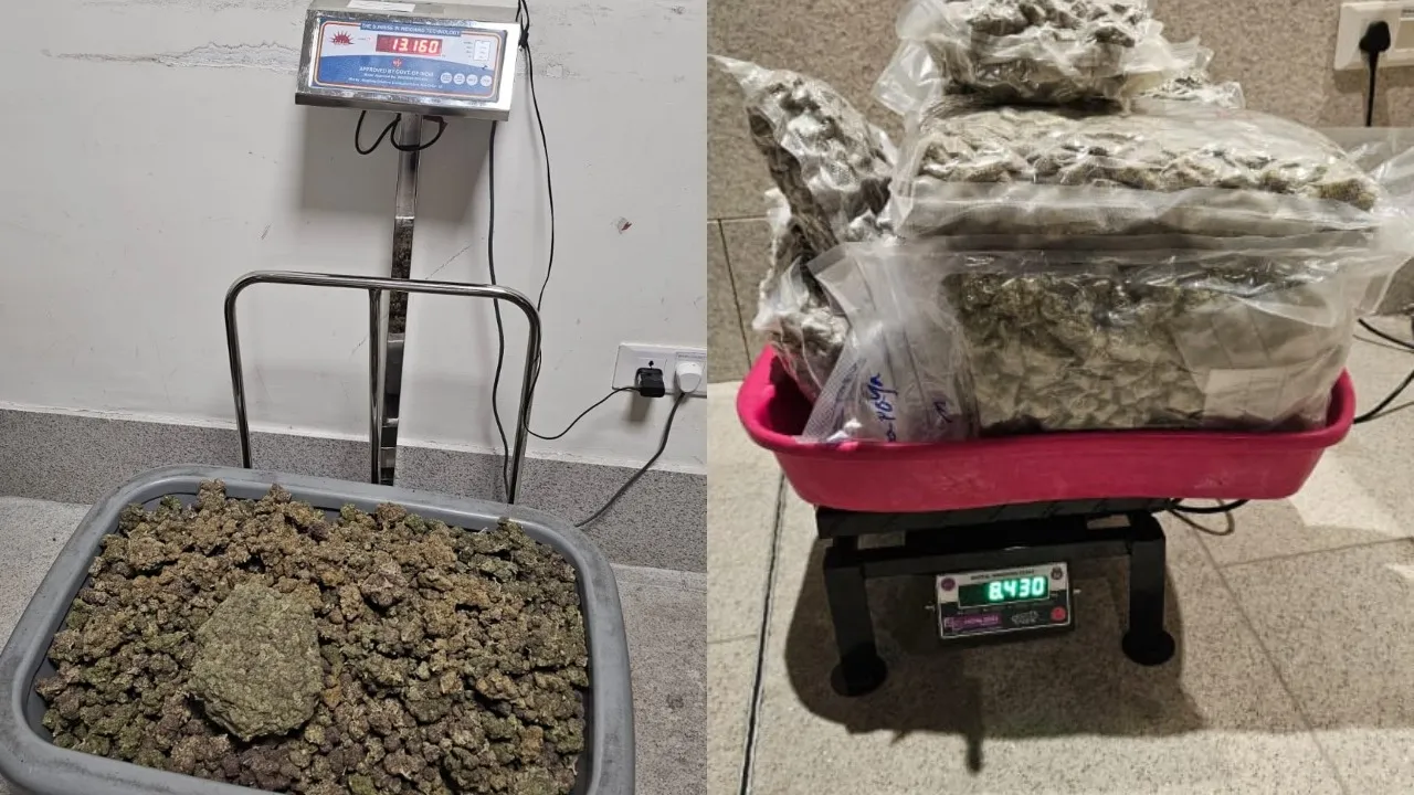 ganja seized in bengaluru airport 1
