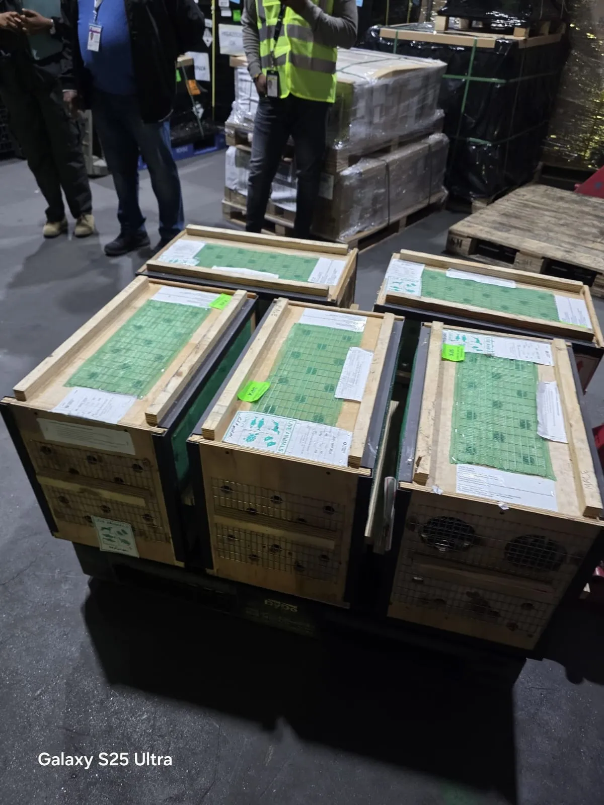 WhatsApp Image 2025-12-16 at 11.40.54 AM (1)