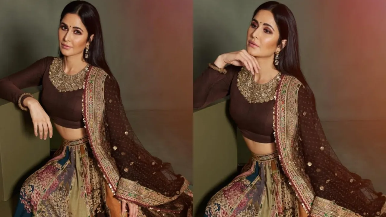 Katrina Kaif Ethnic Looks (2)