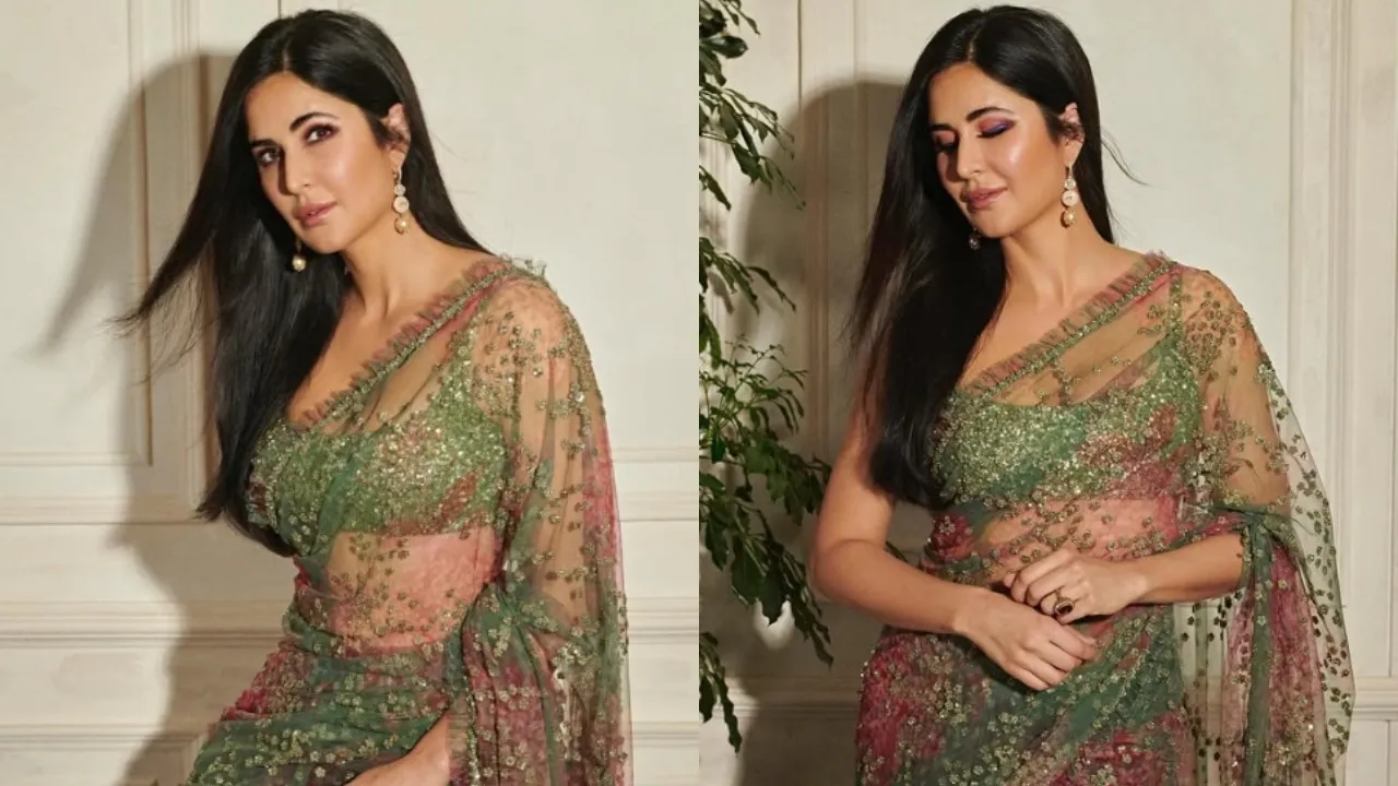 Katrina Kaif Ethnic Looks (5)