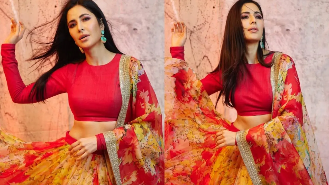 Katrina Kaif Ethnic Looks (6)