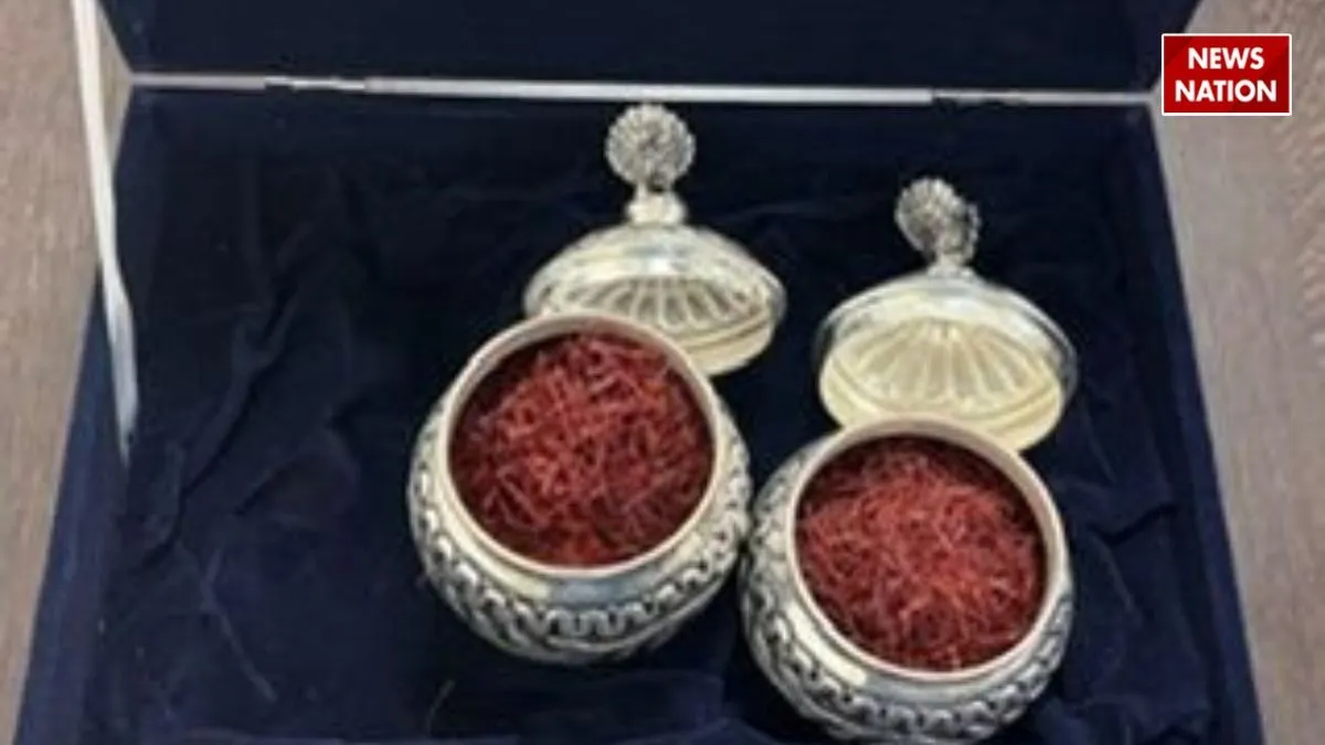 PM Modi give to President Putin