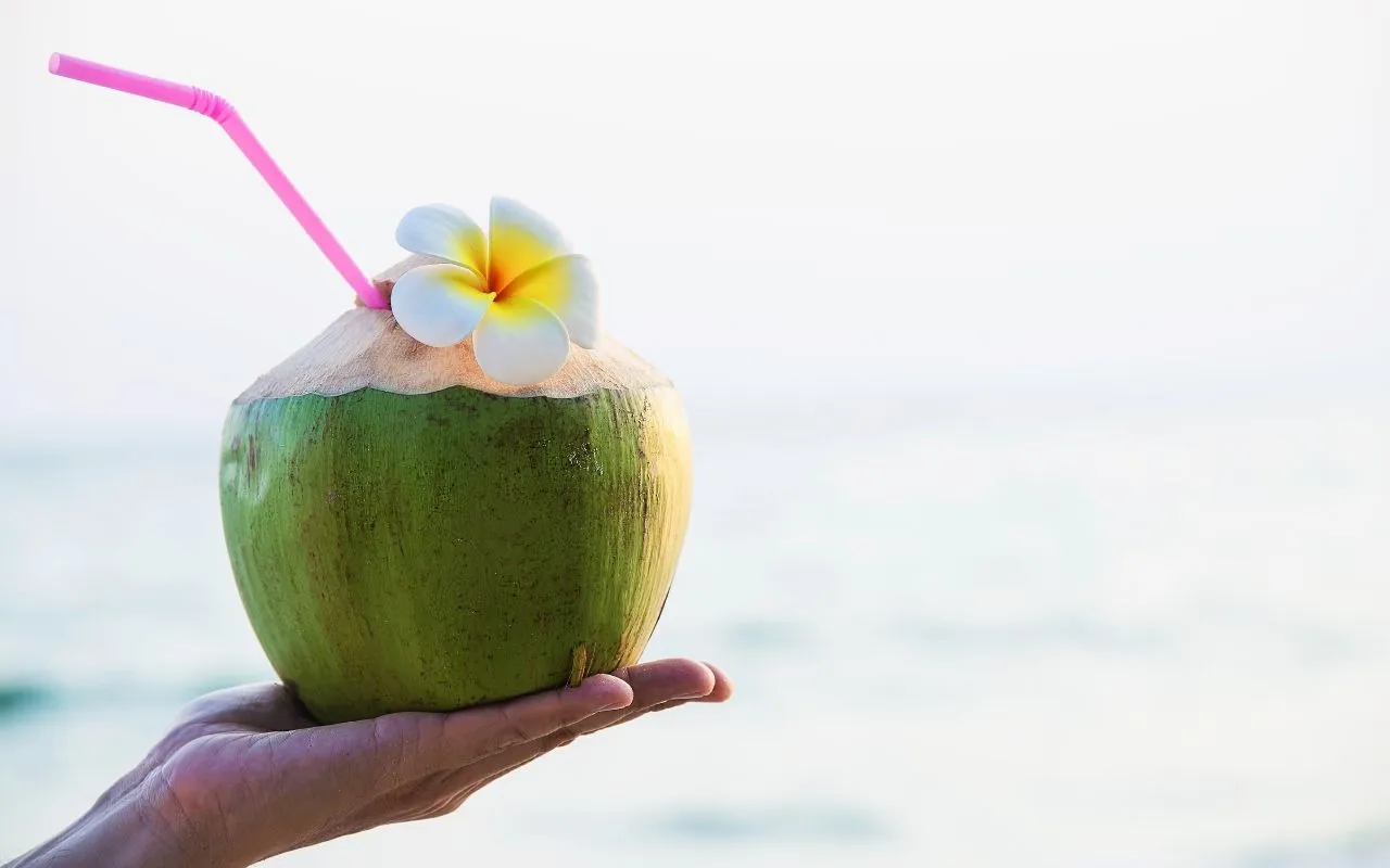 Healthy Drinks For Pregnant Women Coconut Water