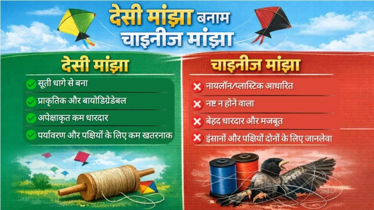 chinese manja vs desi