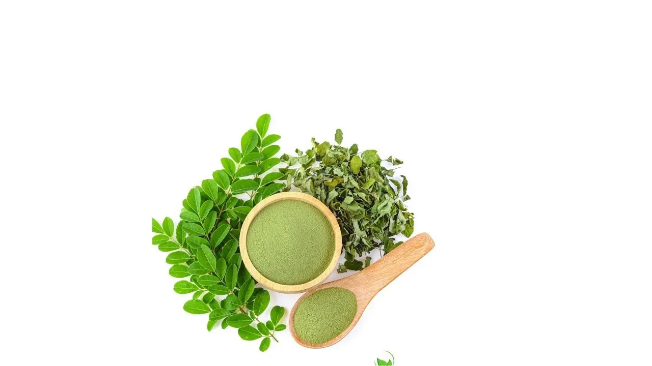 Moringa Powder Benefit