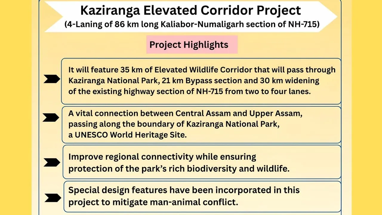 Kaziranga-elevated-corridor