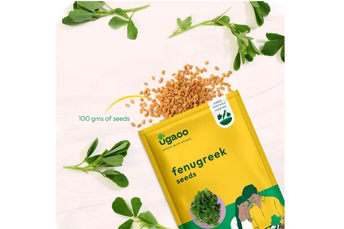 Fenugreek Seed Water Benefits