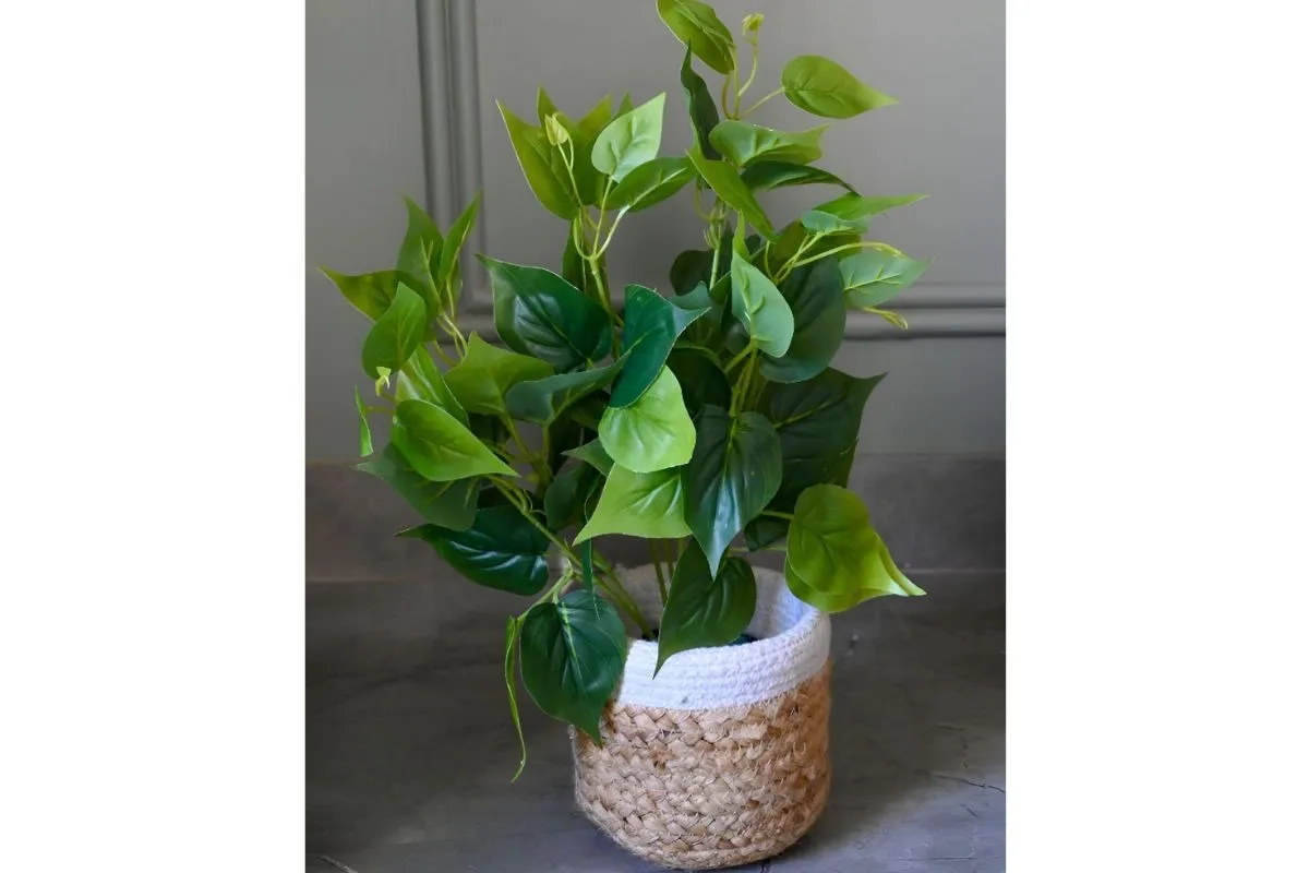 Blooming Floret Artificial Plants For Home
