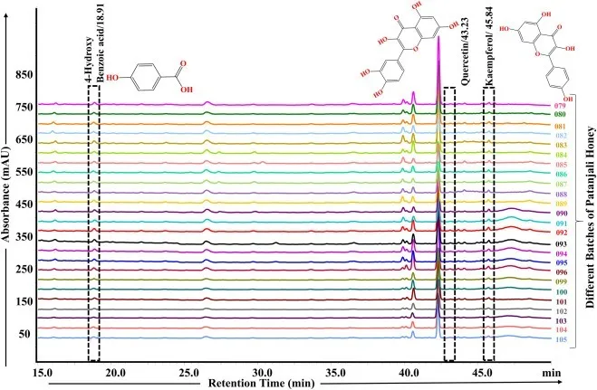 WhatsApp Image 2026-02-11 at 1.24.37 PM