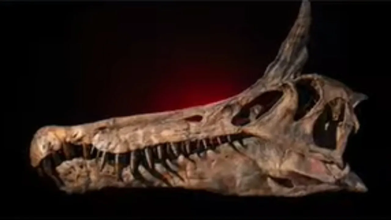 Spinosaurus Mirabilis (2)