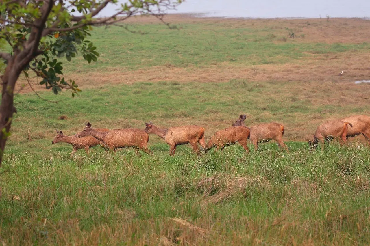 WhatsApp Image 2025-10-29 at 3.23.57 PM (2)