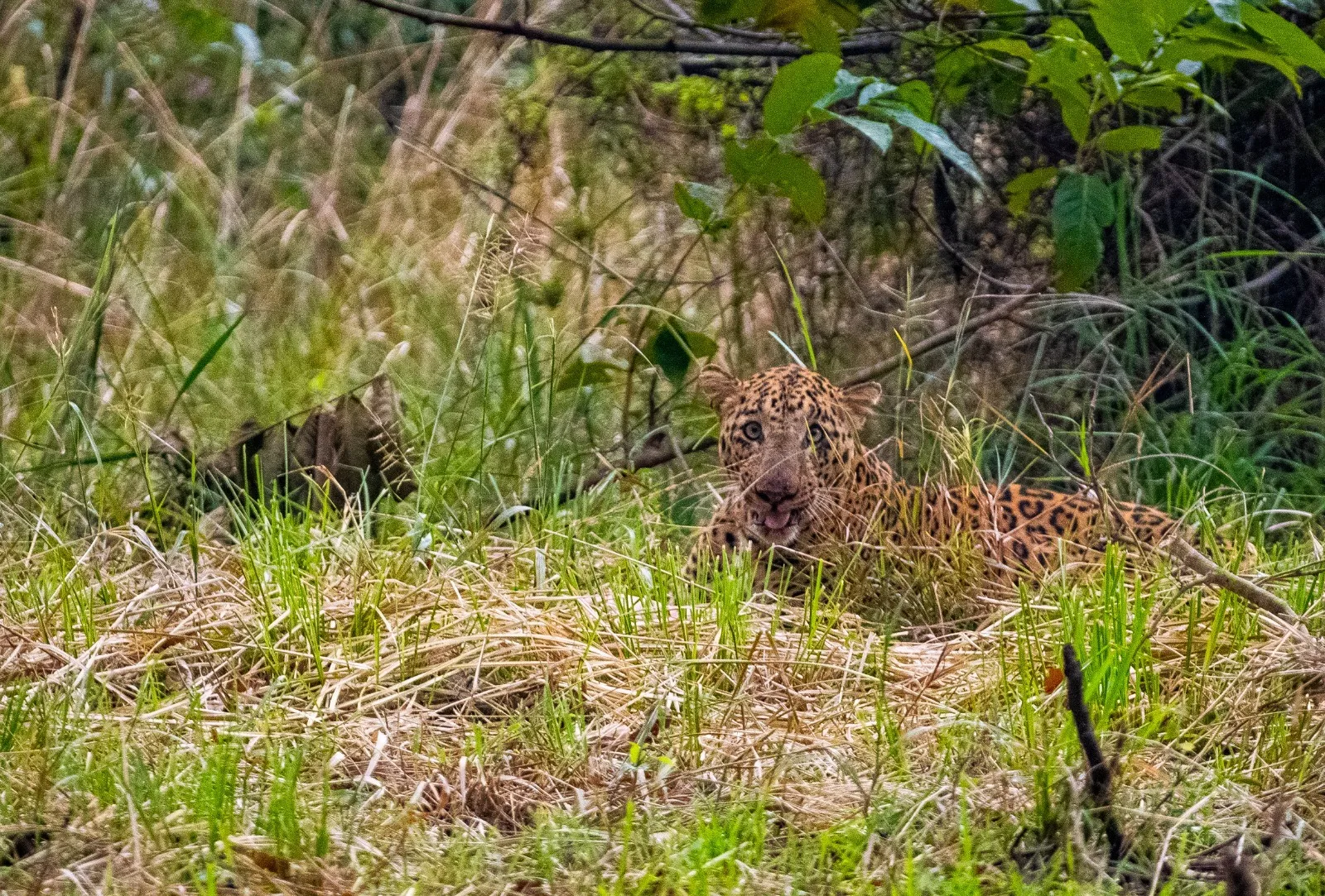 WhatsApp Image 2025-10-29 at 3.23.55 PM (1)