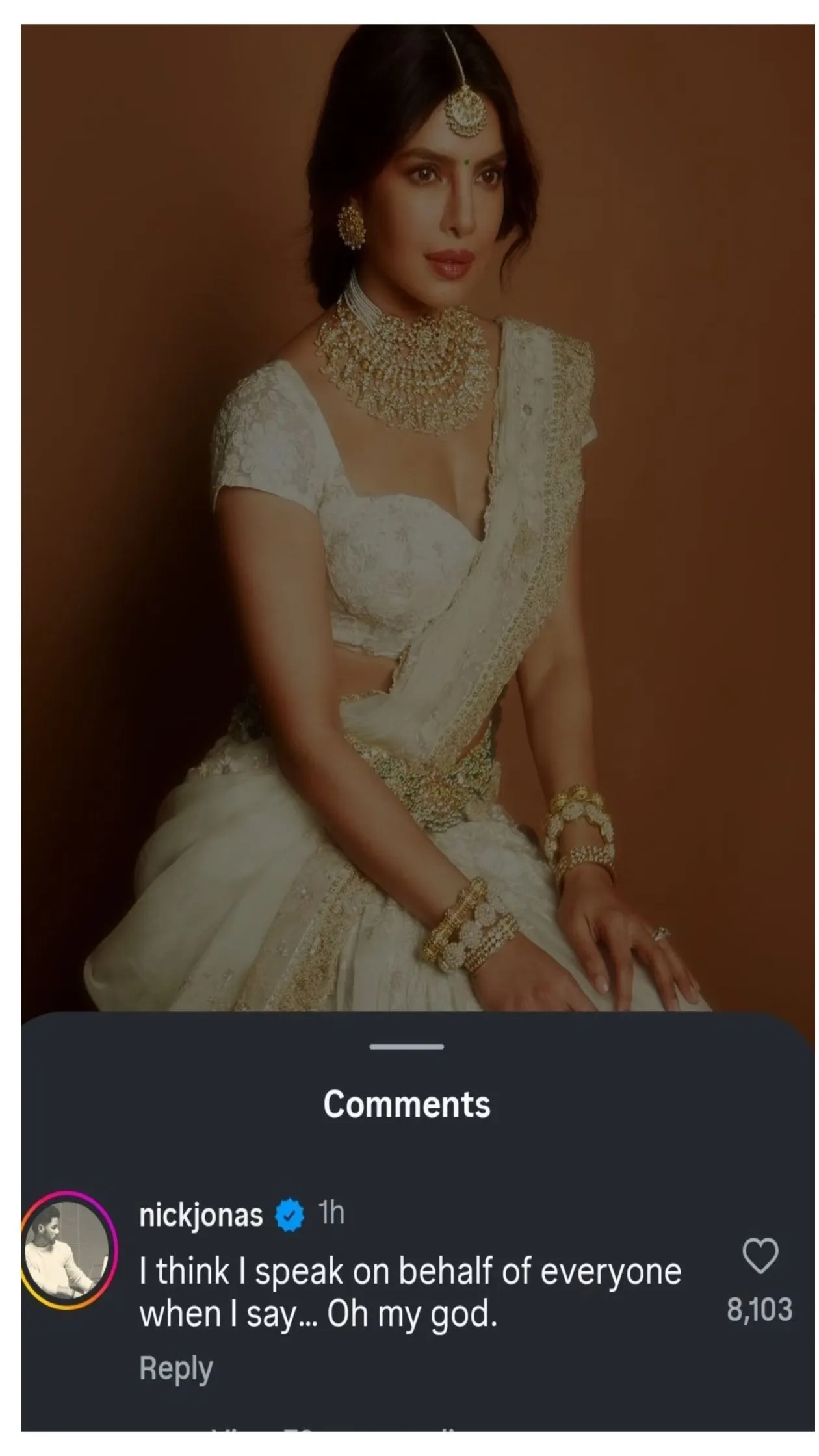 Nick's Comment on Priyanka's Post