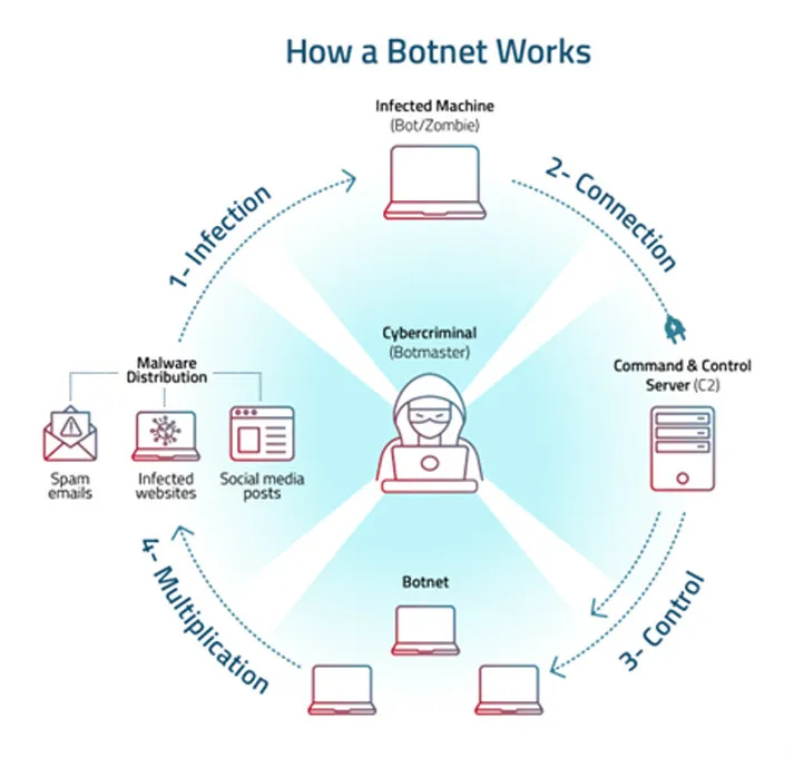 Hot to botnet operates