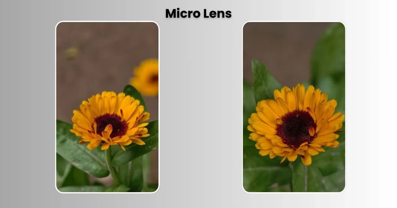 Vivo X300 Pro -  Micro Lens