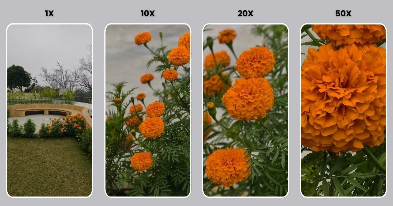 Vivo X300 Pro - Zoom Frames