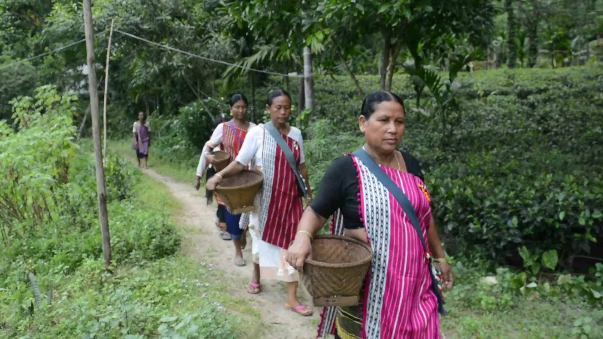 tea women