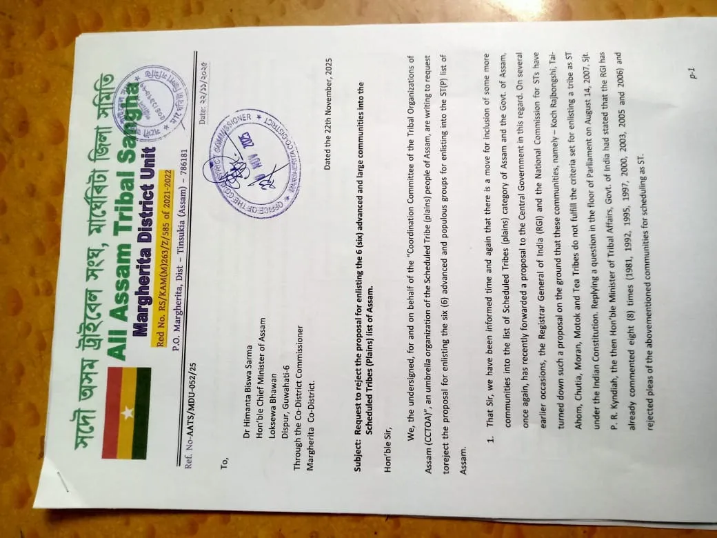 WhatsApp Image 2025-11-22 at 19.47.38