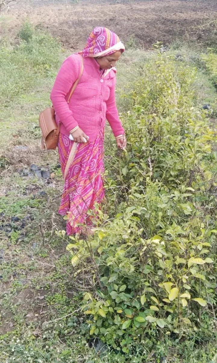 WhatsApp Image