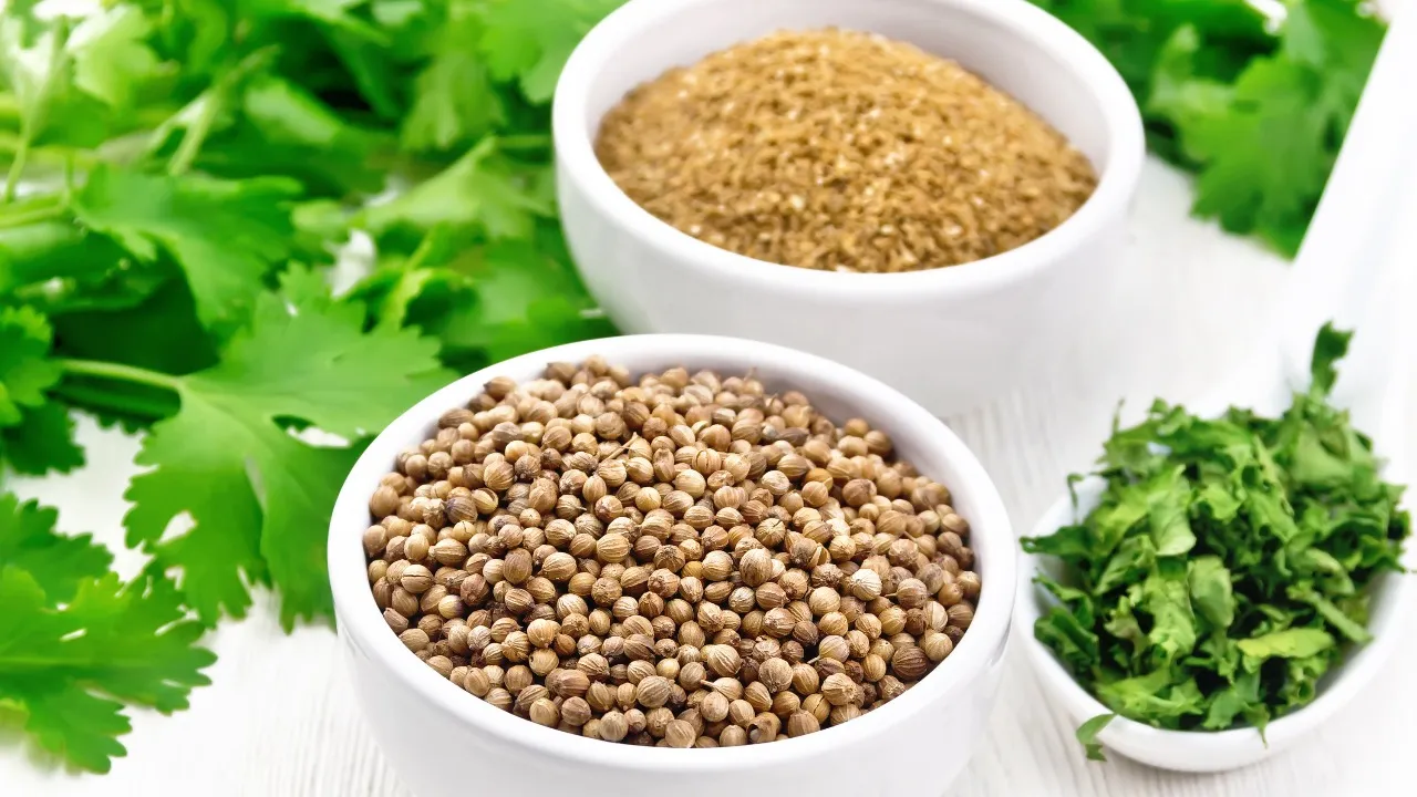 Cumin Coriander Benefits