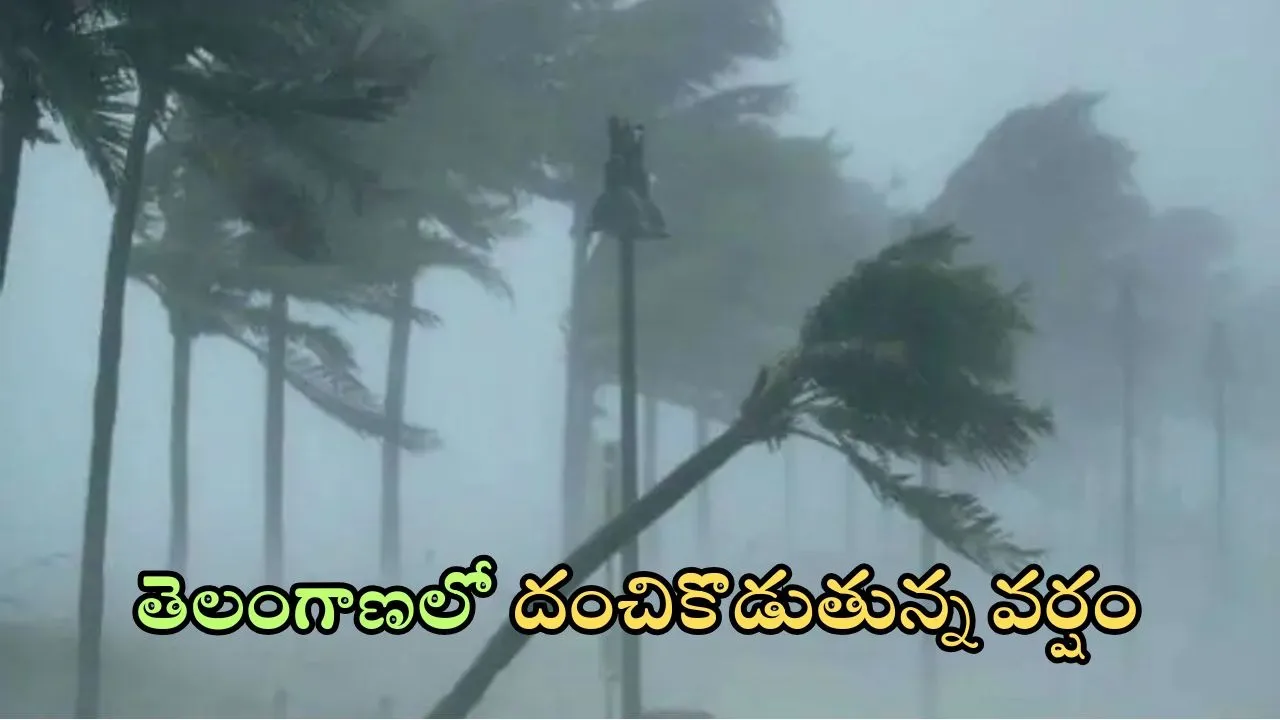 Telangana Rain Update