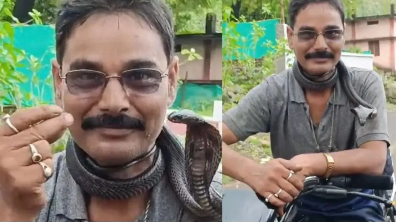 Deepak Mahawar died after being bitten by snake in Madhya Pradesh