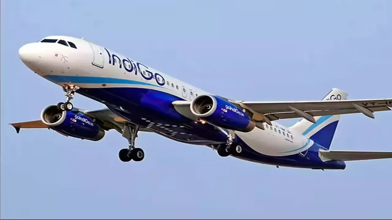 Indigo Plane