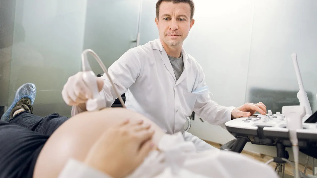 artificial insemination