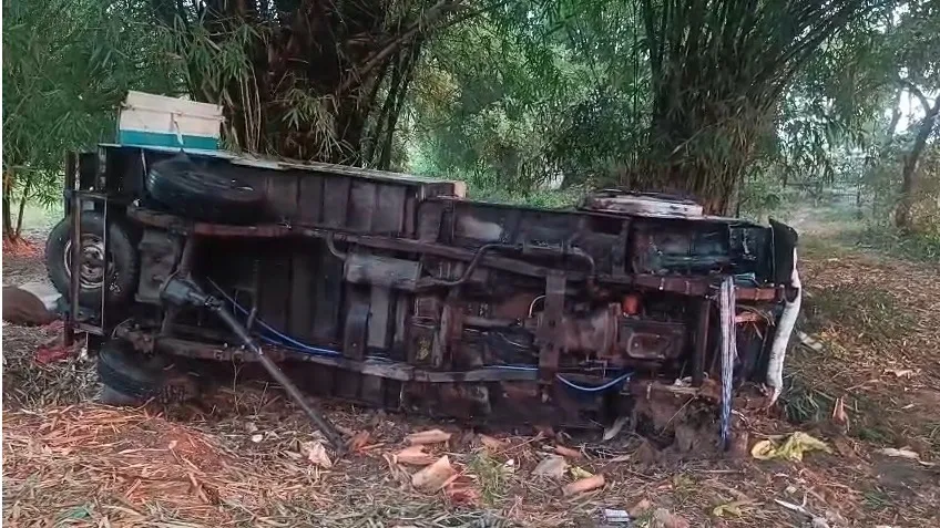 Cattle-laden pickup van set on fire